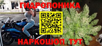 эйфоретик Будённовск